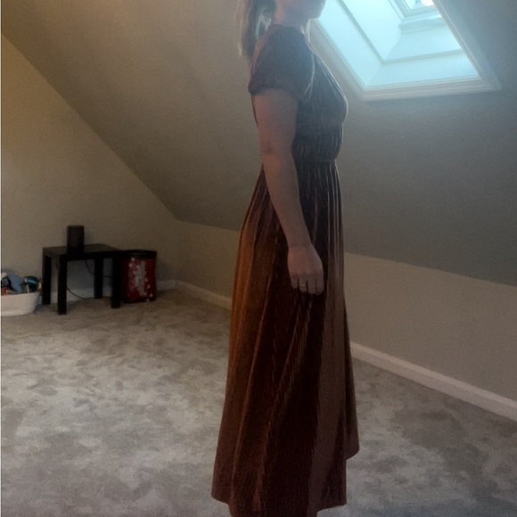 Rust Orange Velvet Autumn Dress NWOT - Picture 3 of 4